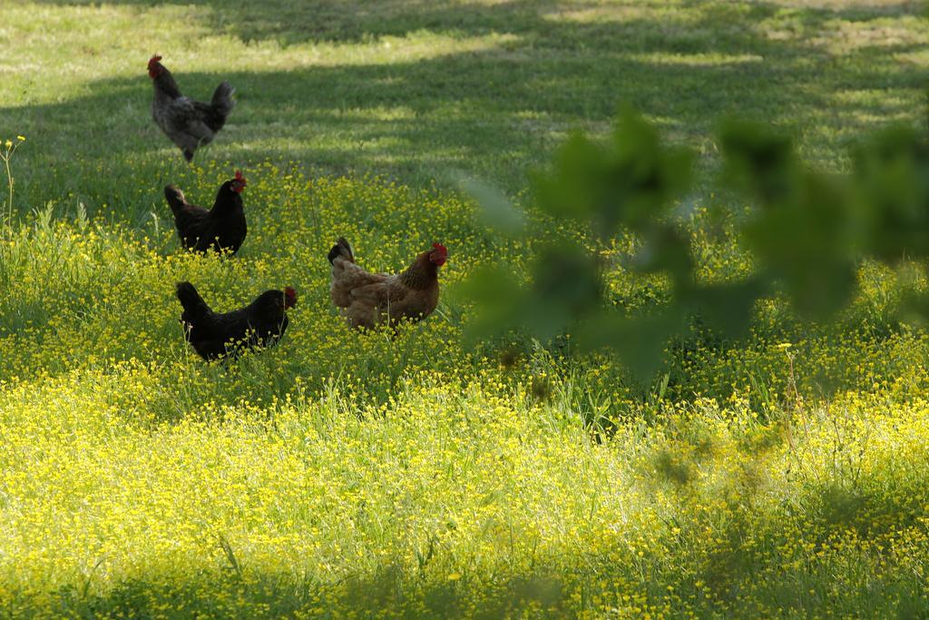 Lithies Farm Houses Василікос Екстер'єр фото