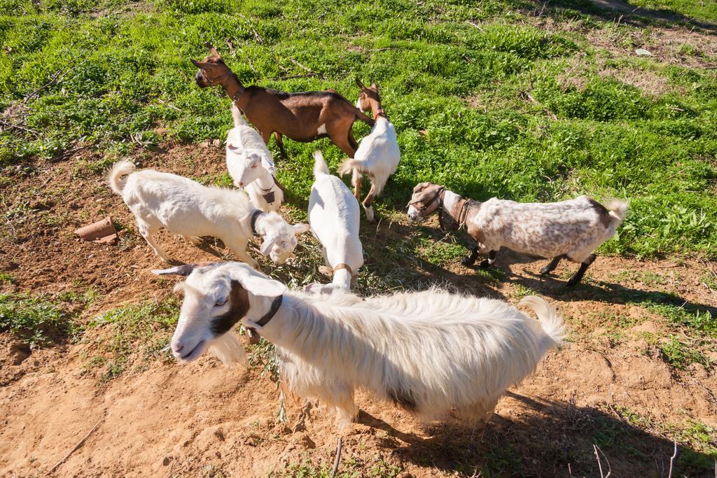 Lithies Farm Houses Василікос Екстер'єр фото